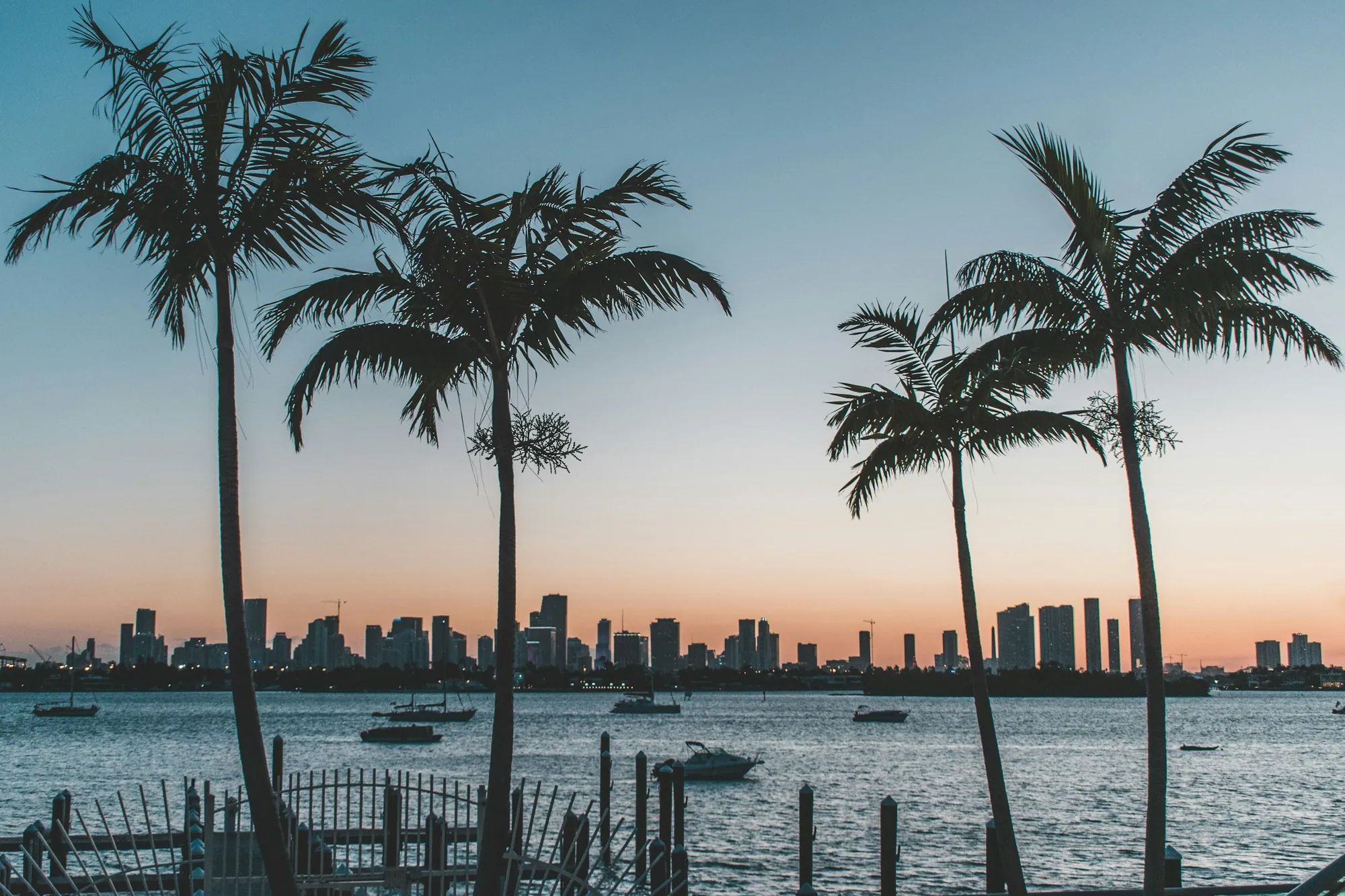 Palm silhouettes against the Miami skyline across the water at sunset