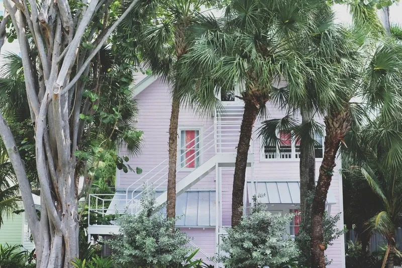 The pink cottage glimpsed through palm fronds