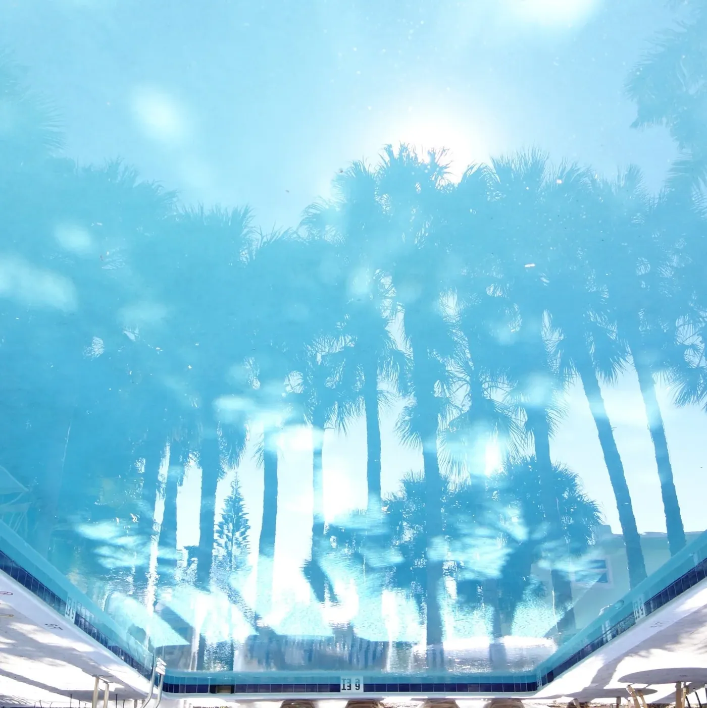 Palms reflected in the still surface of the pool